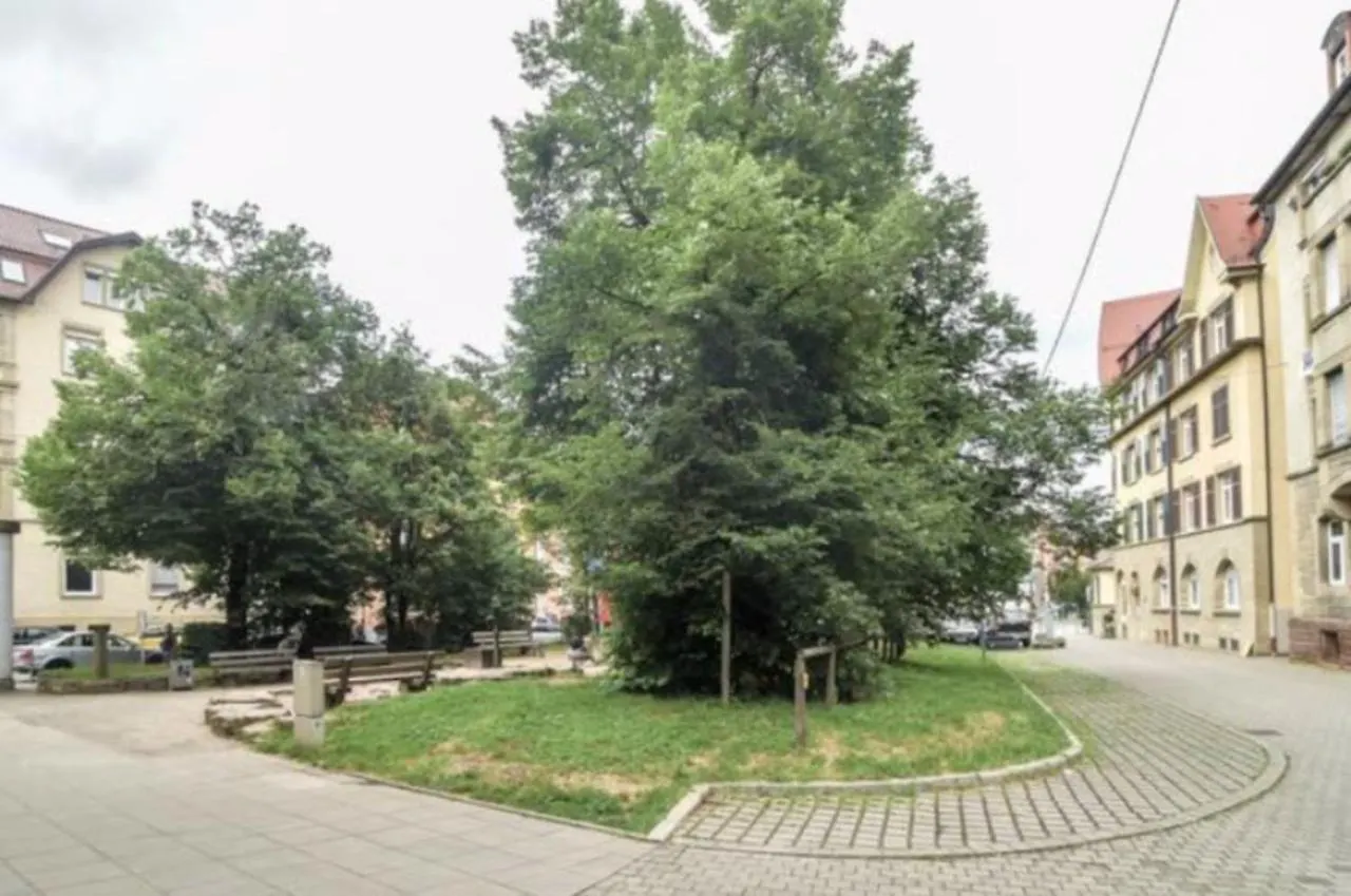 Cozy Room In Stuttgart Near Center With Shared Bathroom And Kitchen Homestay szállás
